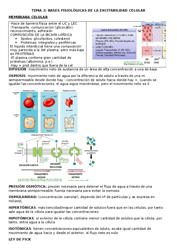 Miniatura del documento TEMA-2-FISIO.docx