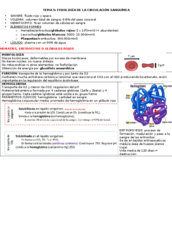 Miniatura del documento TEMA-5-FISIO.docx