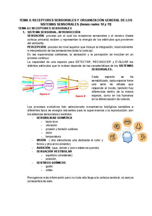 Miniatura del documento TEMA-4-RECEPTORES-SENSORIALES-Y-ORGANIZACION-GENERAL-DE-LOS-SISTEMAS-SENSORIALES-temas-reales-10-y-11.pdf