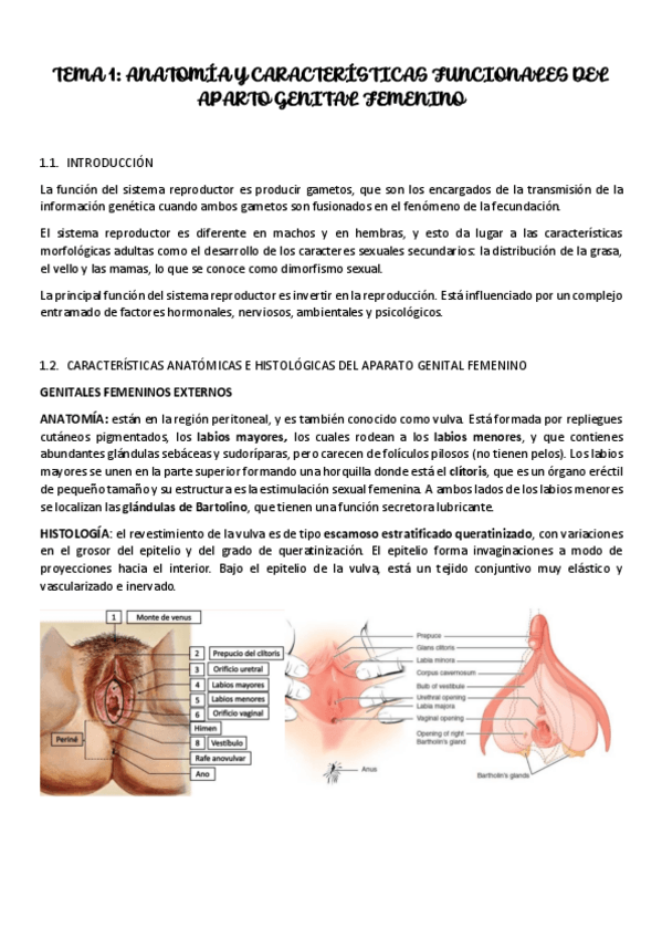 Miniatura del documento TEMA-1.pdf