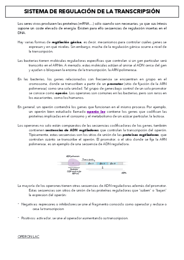 Miniatura del documento E.2.-Genetica-Molecular-y-Mendeliana (2023-24).pdf