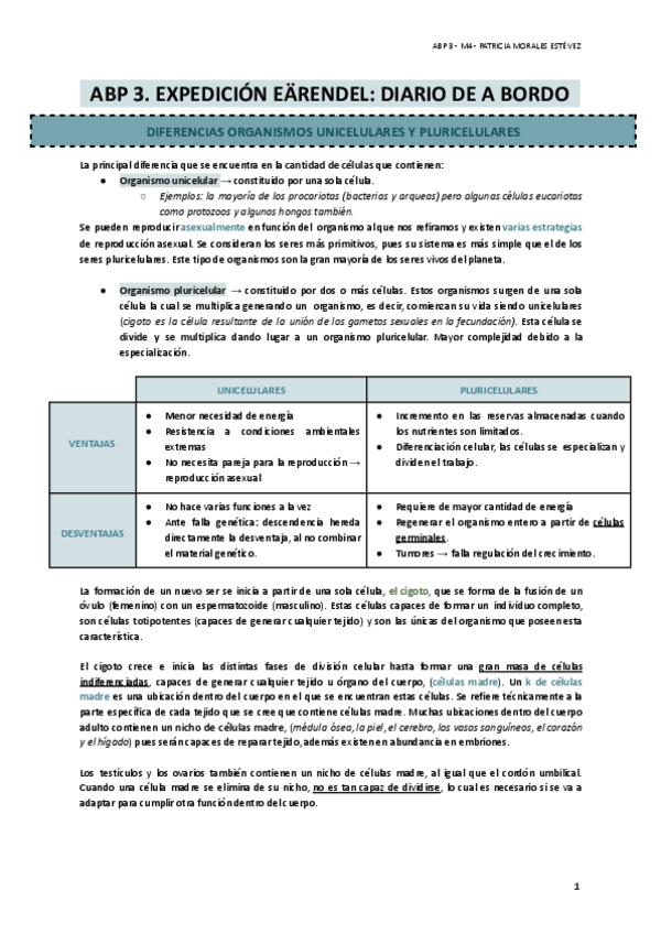 Miniatura del documento ABP-3.-Expedicion-Earendel-diario-de-a-bordo.pdf