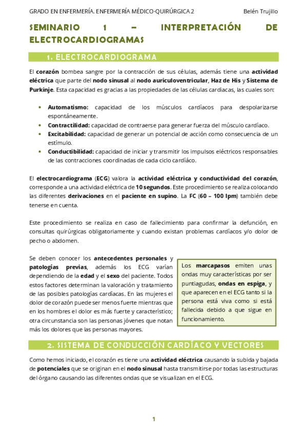 Miniatura del documento MQ2-Seminario1-InterpretacionECG.pdf