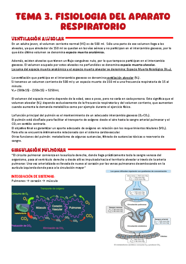 Miniatura del documento TEMA-3.-FISIOLOGIA-DEL-APARATO-RESPIRATORIO.pdf