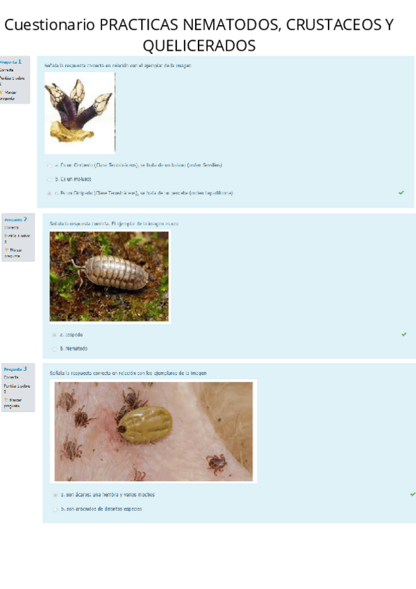 Miniatura del documento CUESTIONARIO-PRACTICAS-NEMATODOS-CRUSTACEOS-Y-QUELICERADOS.pdf