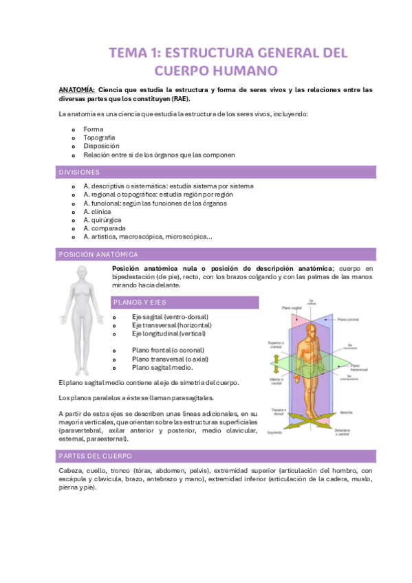 Miniatura del documento Apuntes-Anatomia.pdf