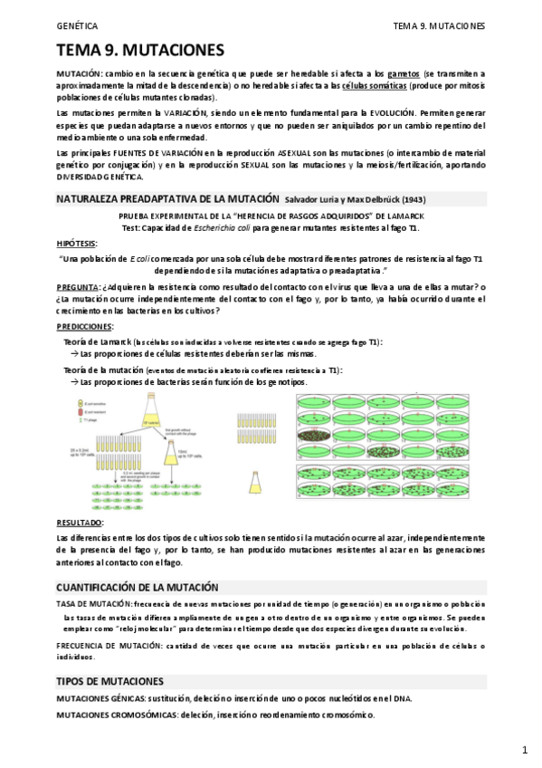 Miniatura del documento 09.-MUTACIONES.pdf