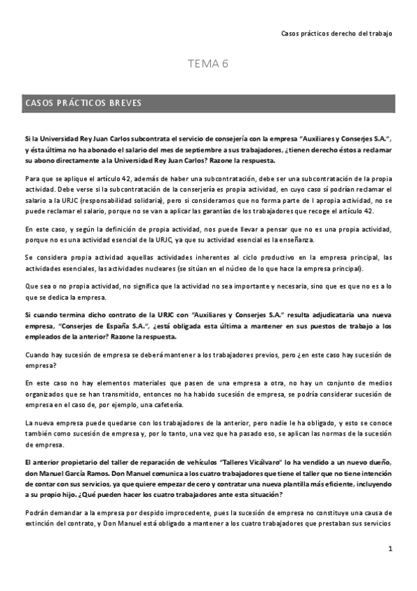 Miniatura del documento Casos-practicos-Derecho-del-trabajo.pdf
