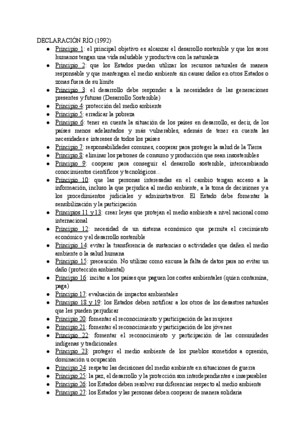 Miniatura del documento Declaracion-de-Rio-1992.pdf