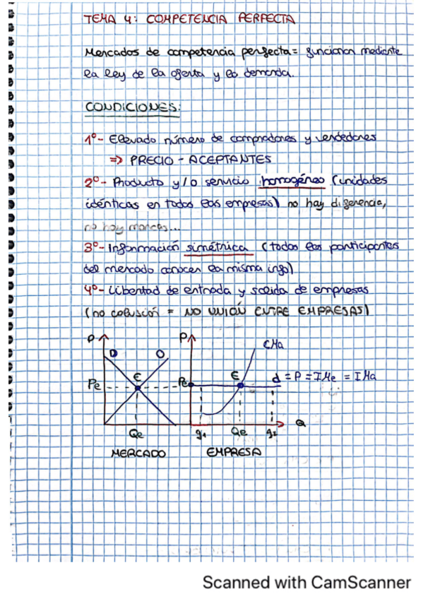 Miniatura del documento TEMA-4-MICRO-I.pdf