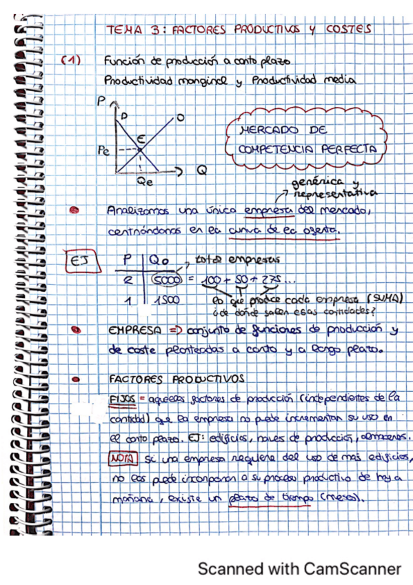 Miniatura del documento TEMA-3-MICRO-I.pdf