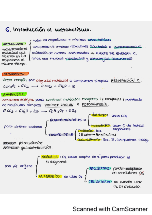 Miniatura del documento Tema-6.-Introduccion-al-metabolismo-y-bioenergetica.pdf