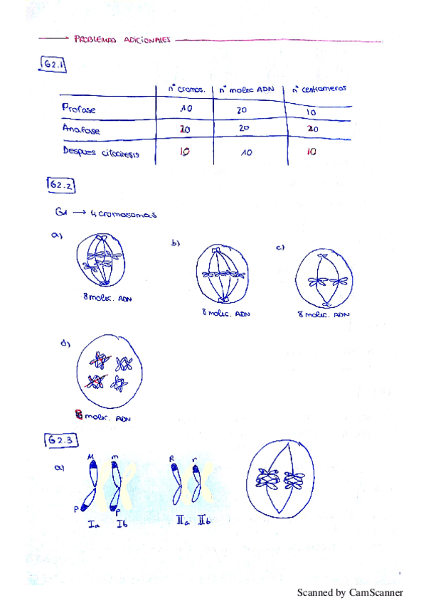 Miniatura del documento solucionesproblemasadicionales.pdf