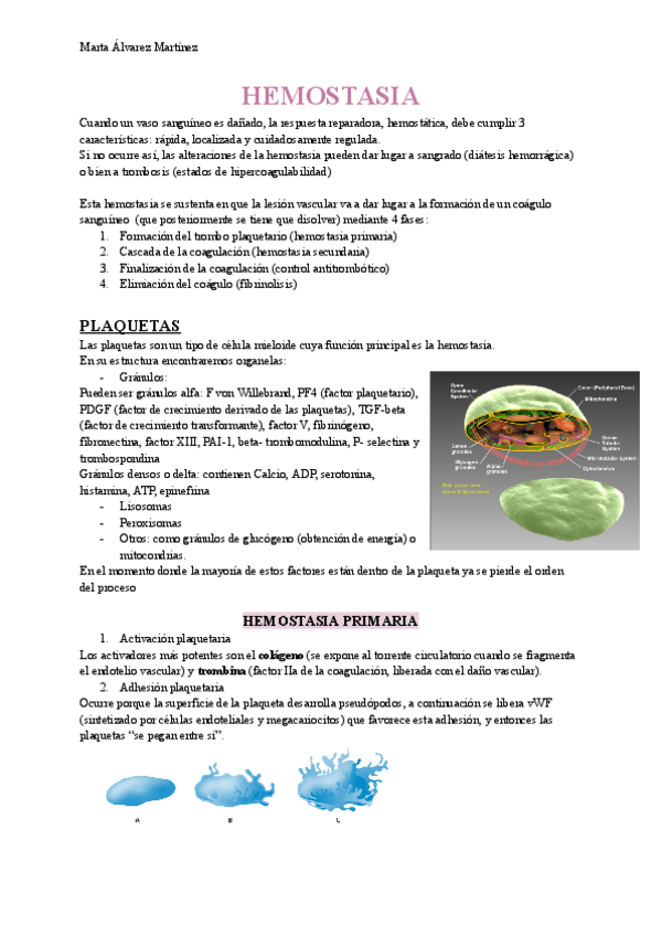 Miniatura del documento hemostasia-pg-1.pdf