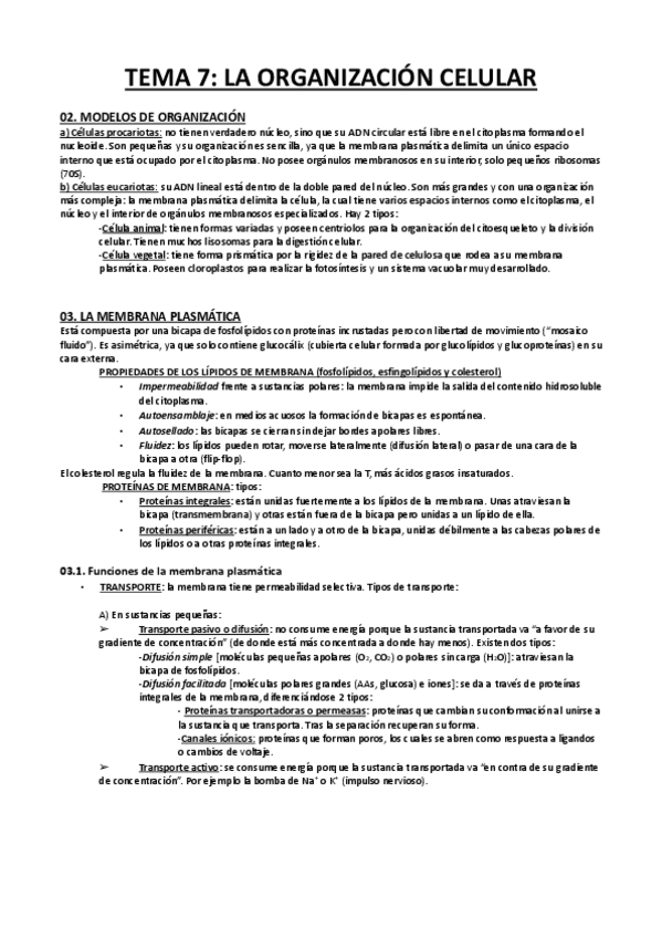 Miniatura del documento BIOLOGIA-TEMA-7-ORGANIZACION-CELULAR.pdf
