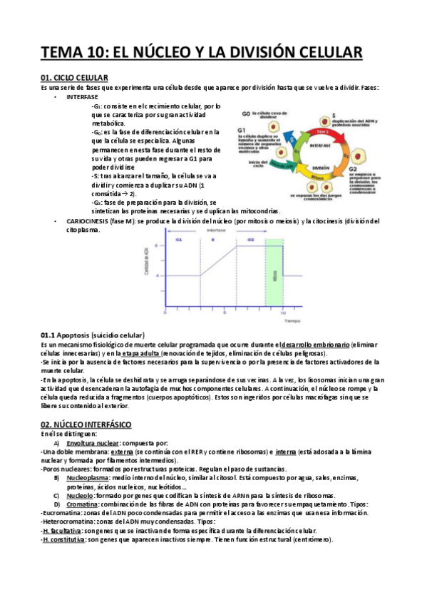 Miniatura del documento BIOLOGIA-TEMA-10-EL-NUCLEO-Y-LA-DIVISION-CELULAR.pdf