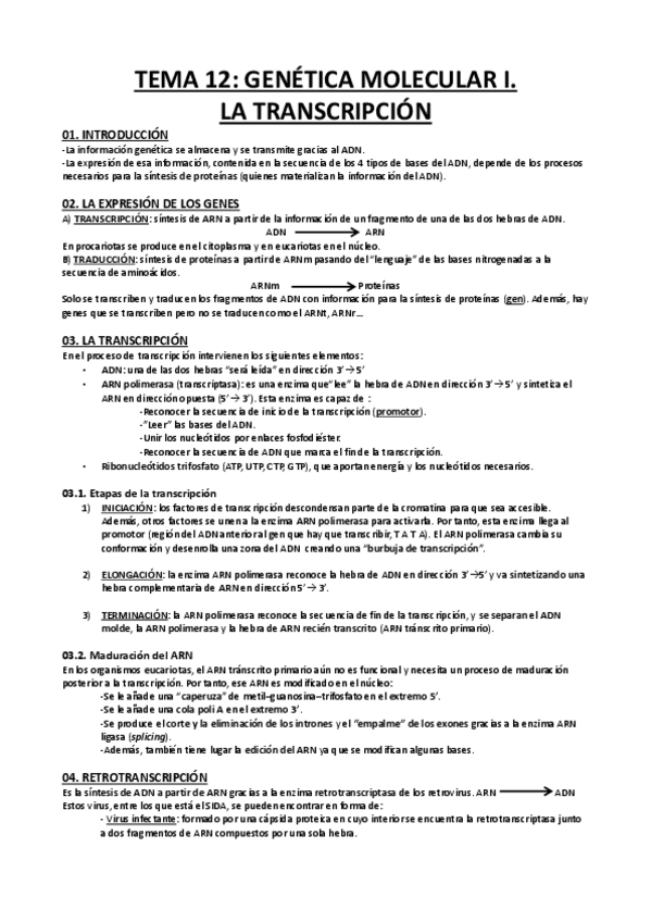 Miniatura del documento BIOLOGIA-TEMA-12-GENETICA-MOLECULAR-I-LA-TRANSCRIPCION.pdf