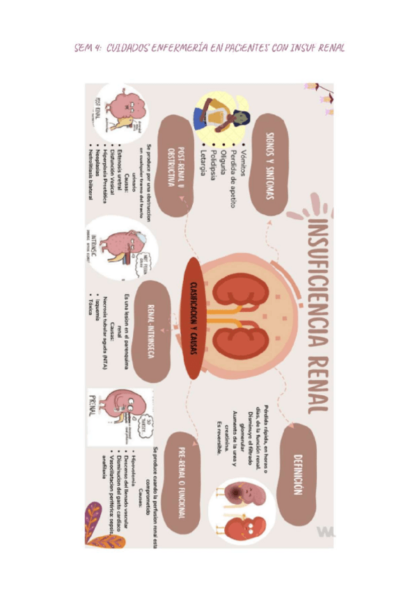 Miniatura del documento sem-4-urologia.pdf