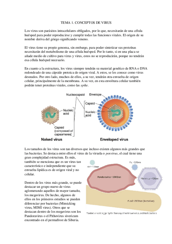 Miniatura del documento 1.-Conceptos-de-virus.docx