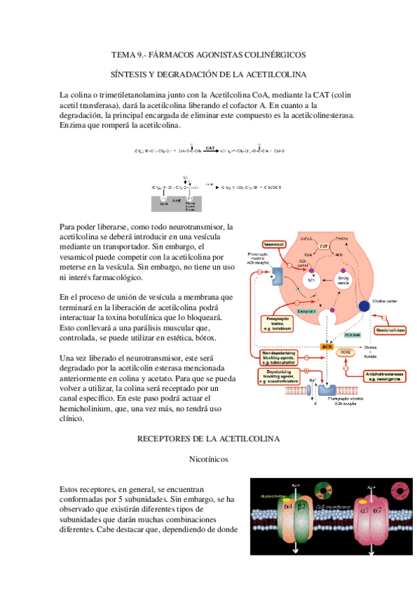 Miniatura del documento 9.-Agonistas-colinergicos.docx