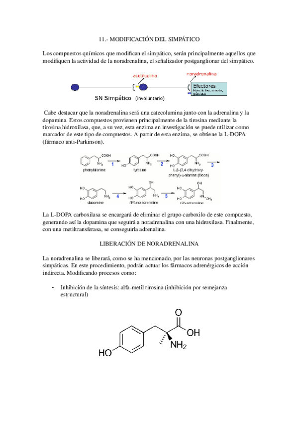 Miniatura del documento 11.-Modificacion-del-simpatico.docx