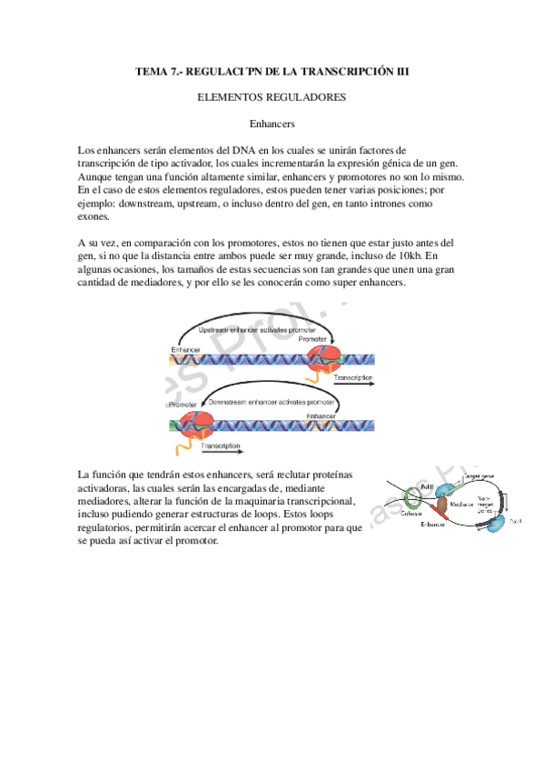 Miniatura del documento Tema-7.-Regulacion-de-la-transcripcion-III.docx
