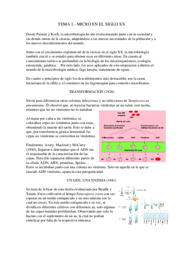 Miniatura del documento Tema-1.-Micro-Siglo-XX.docx