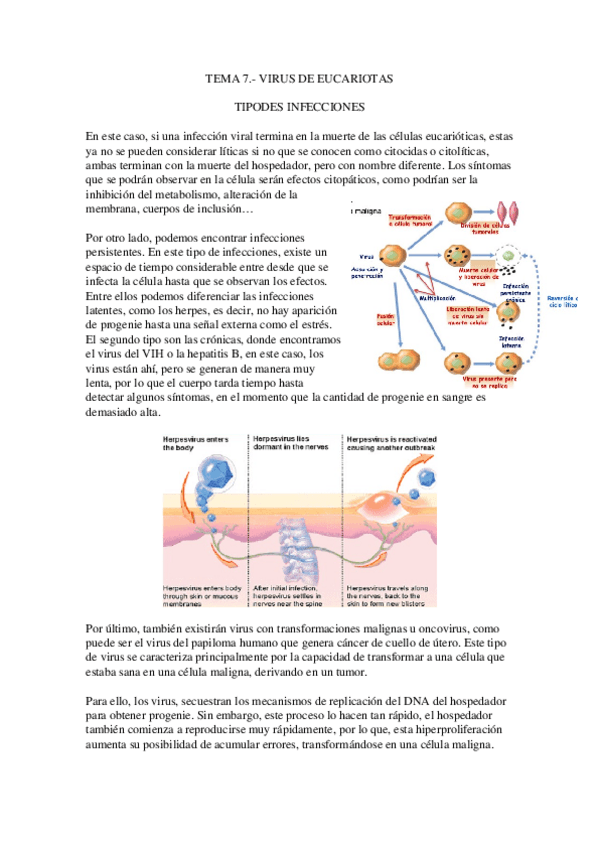 Miniatura del documento Tema-7.-Virus-de-eucariotas.docx