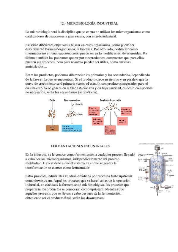 Miniatura del documento 12.-Micro-industrial.docx