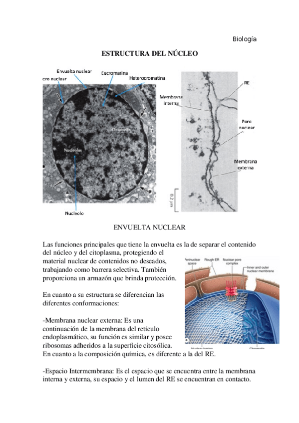 Miniatura del documento 3.-Nucleo.docx