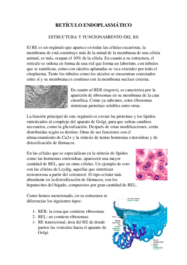 Miniatura del documento 5.-Reticulo-endoplasmatico.docx
