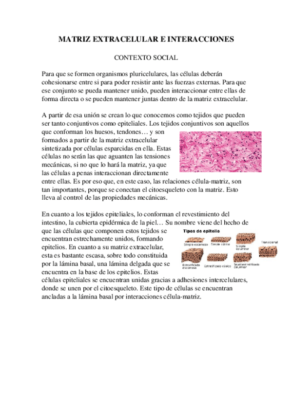 Miniatura del documento 9.-MEC-e-Interacciones.docx