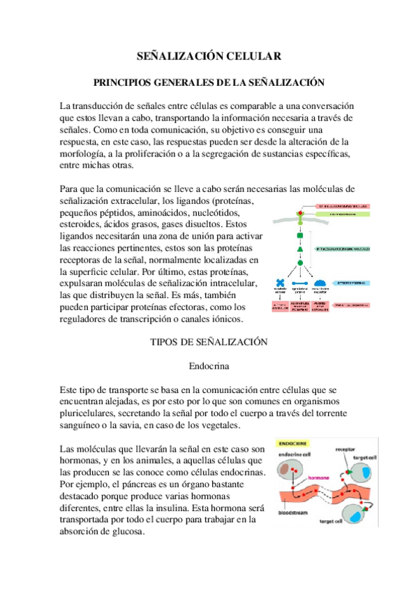 Miniatura del documento 10.-Senalizacion-celular.docx