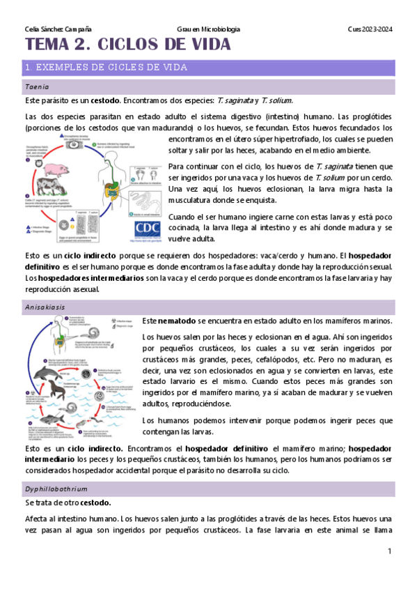 Miniatura del documento Tema-2.-Ciclos-de-vida.pdf