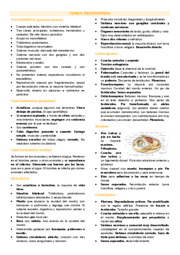 Miniatura del documento Tema 9 biología animal, protóstomos.pdf
