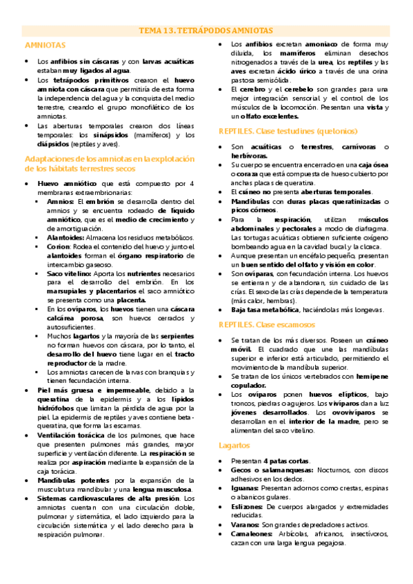 Miniatura del documento Tema 13 biología animal, tetrápodos amniotas.pdf