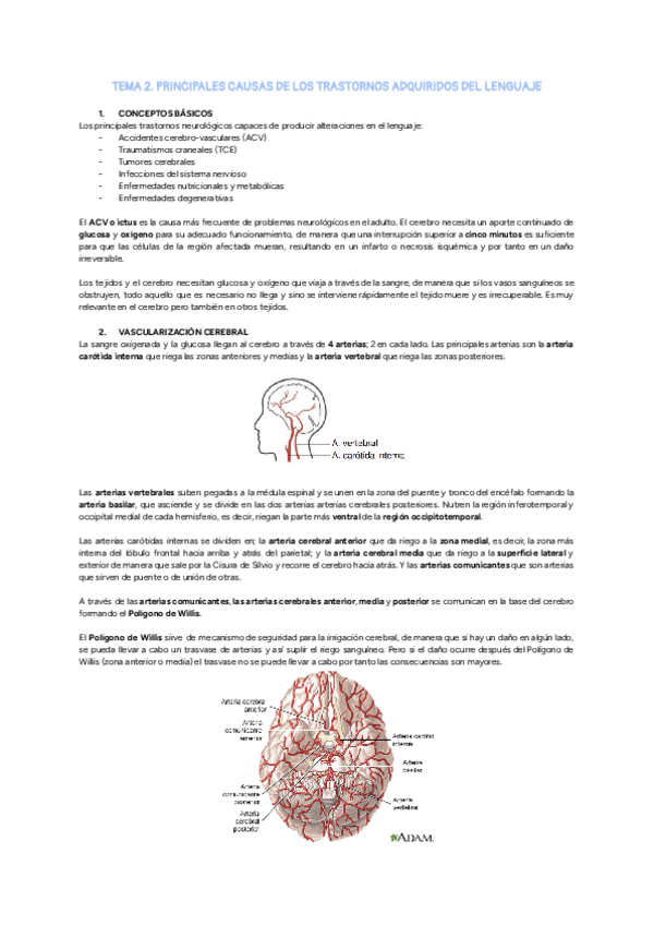 Miniatura del documento Tema-2.-Principales-causas-de-los-trastornos-adquiridos-del-lenguaje.pdf