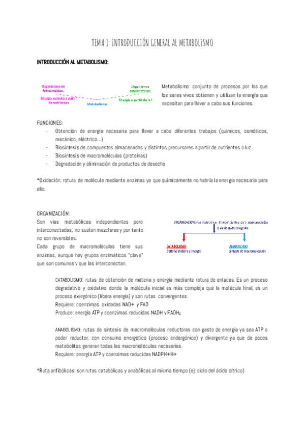 Miniatura del documento TEMA-1-INTRODUCCION-GENERAL-AL-METABOLISMO.pdf