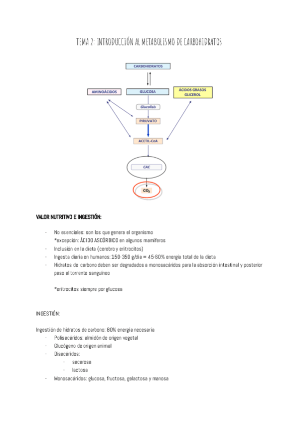 Miniatura del documento TEMA-2-INTRODUCCION-AL-METABOLISMO-DE-CARBOHIDRATOS.pdf