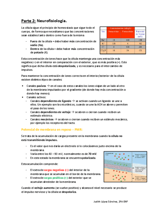 Miniatura del documento Sistema-Nervioso-II-Parte-2.pdf