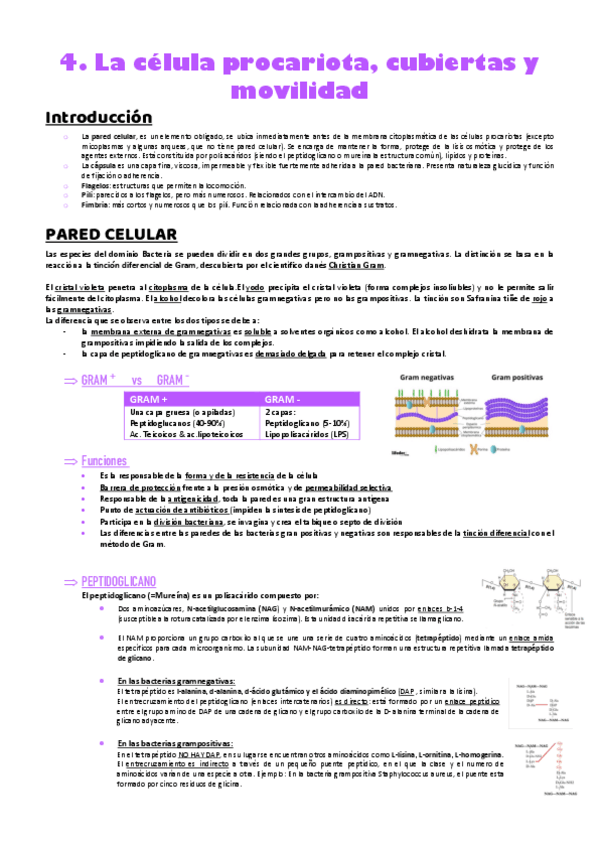 Miniatura del documento T4-y-T5-FUNDAMENTOS-MICROB.pdf
