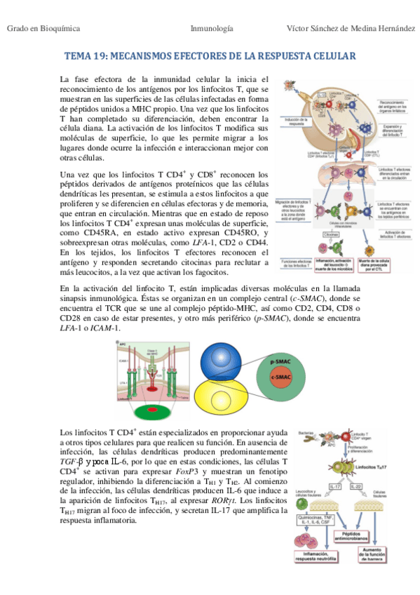Miniatura del documento Temas 19-22.pdf