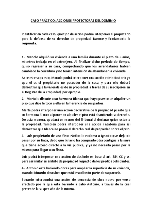 Miniatura del documento CASO-ACCIONES-PROTECTORAS.pdf