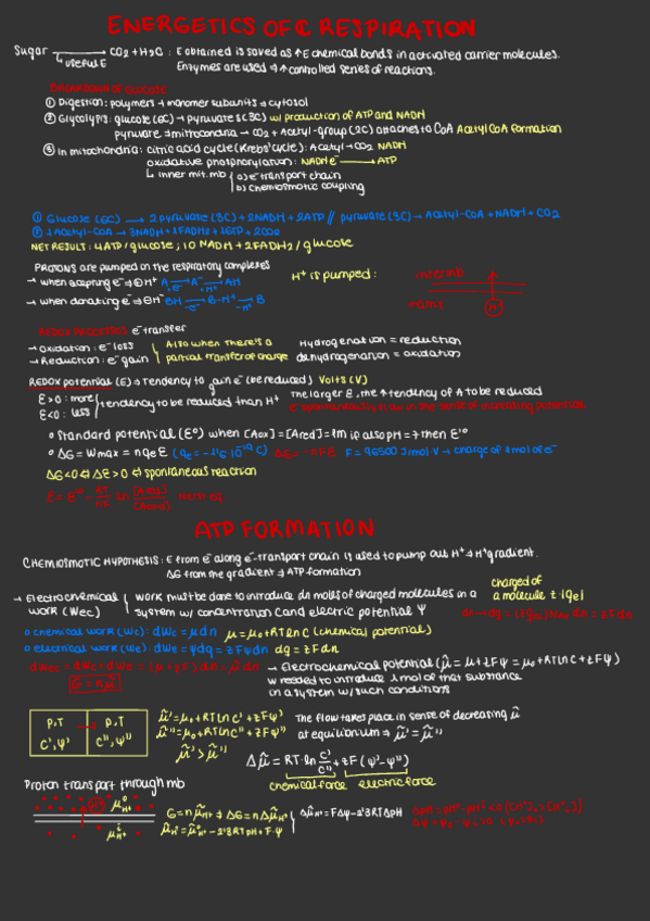 Miniatura del documento Energetics.pdf