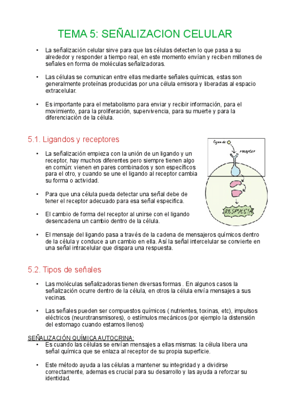 Miniatura del documento Tema5-senalizacion-celular.pdf