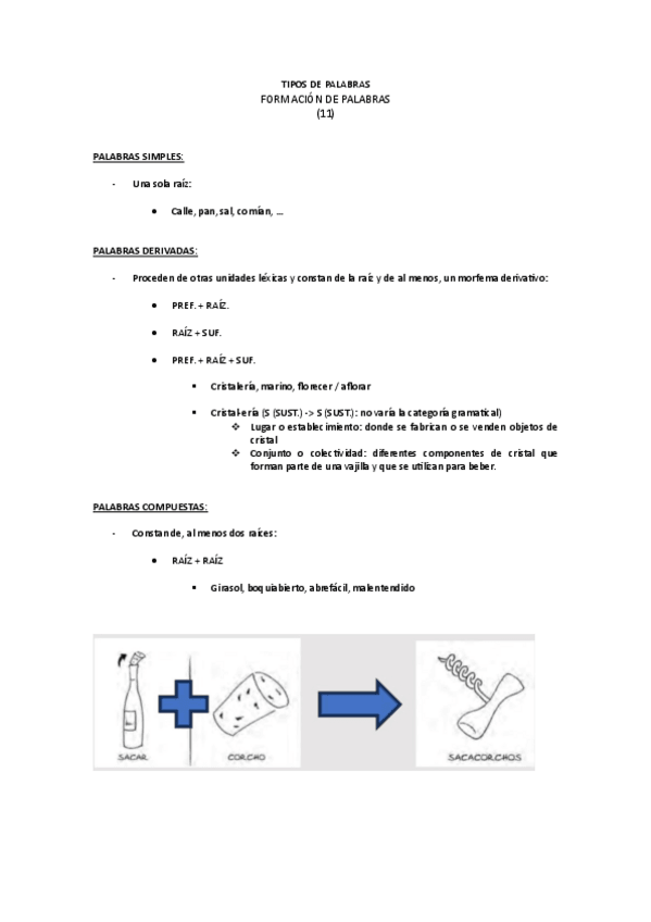 Miniatura del documento TIPOS-DE-PALABRAS.pdf