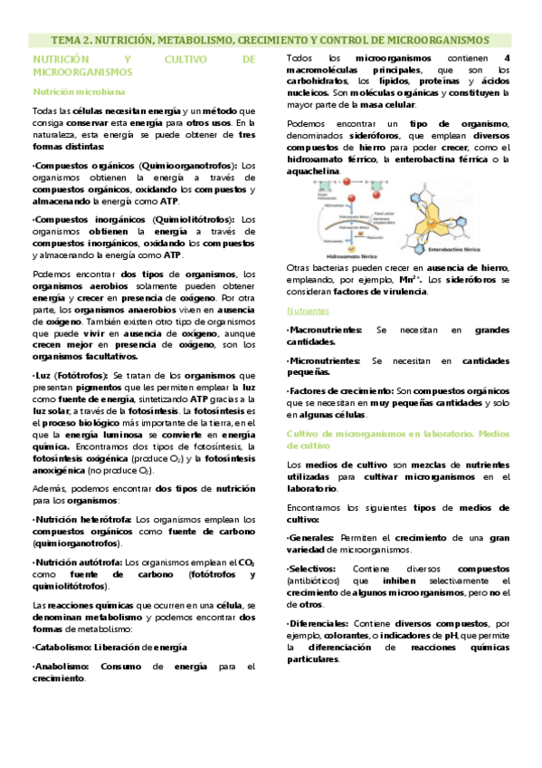 Miniatura del documento Tema 2 microbiología, Nutrición, metabolismo, crecimiento y control de los microorganismos.pdf