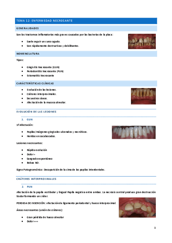 Miniatura del documento Tema-12.pdf
