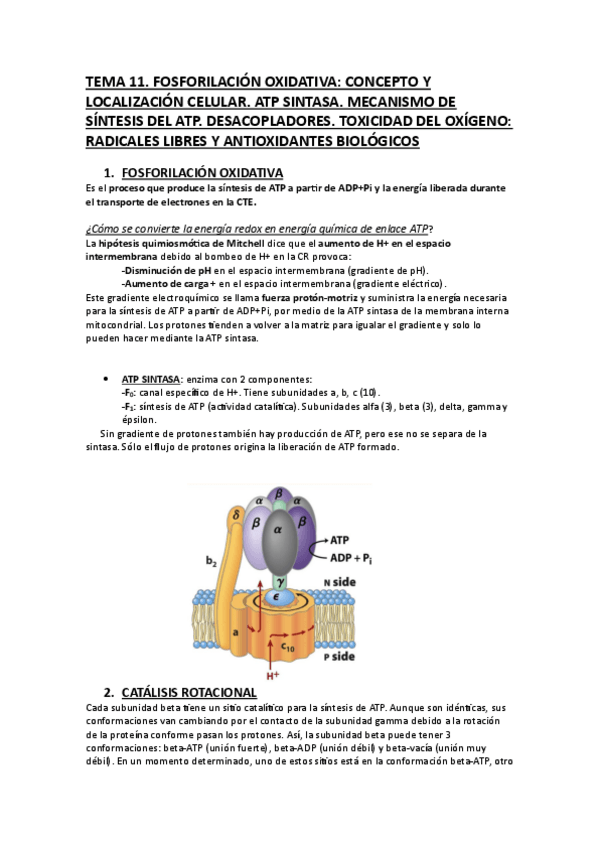 Miniatura del documento TEMA-11-BQ.pdf
