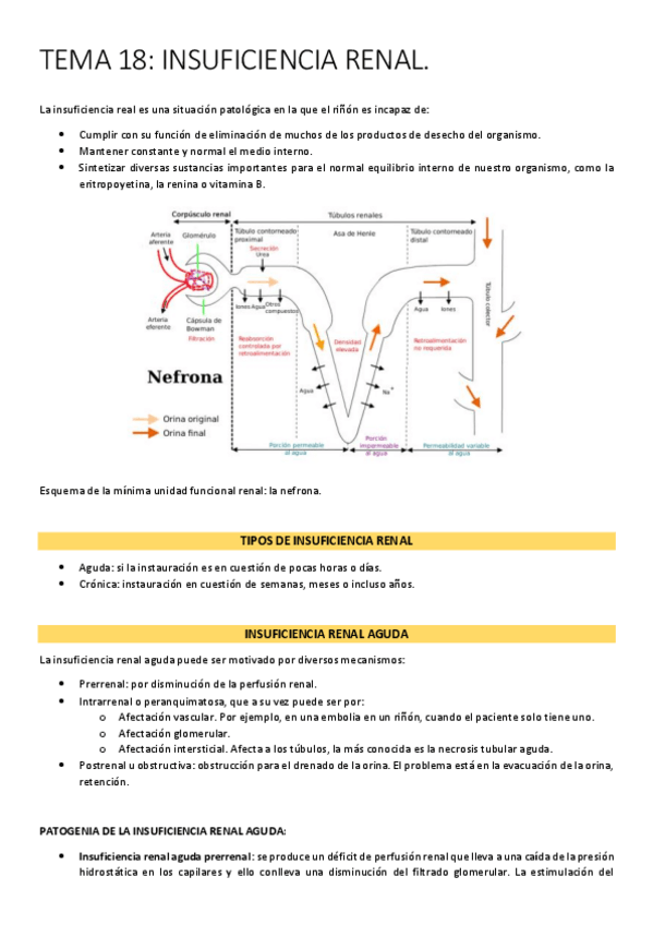Miniatura del documento tema-18-insuficiencia-renal.pdf